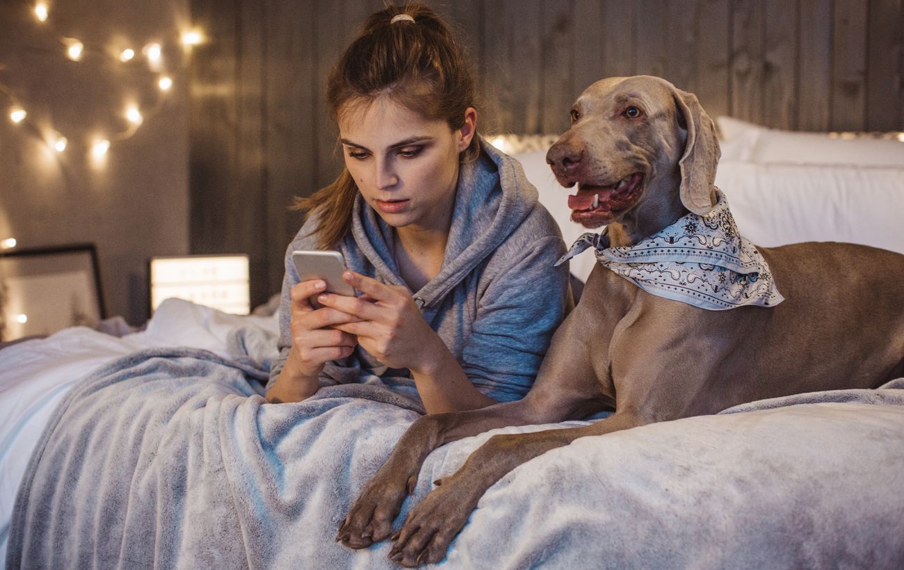 Оренда з котами та собаками: де в Україні найпростіше знайти pet-friendly житло та які ціни